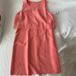 New with Tags Coral Scalloped Loft Dress Size 10